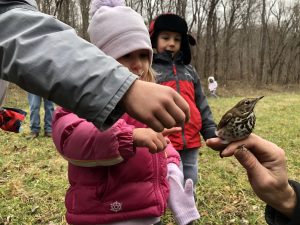 Mountaineer Audubon hosts Christmas Bird Count, measures local bird populations